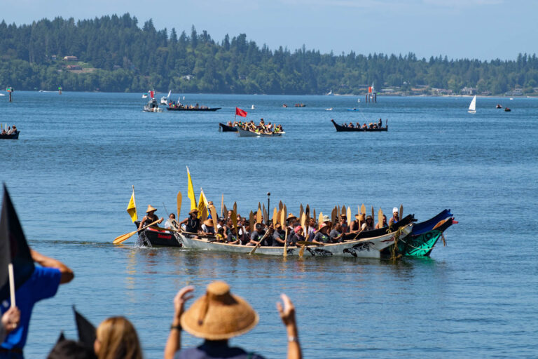 Read more about the article Paddle to Nisqually – The Landing